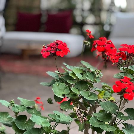 Dar Tadout Guest House Ait Ourir Bagian luar foto