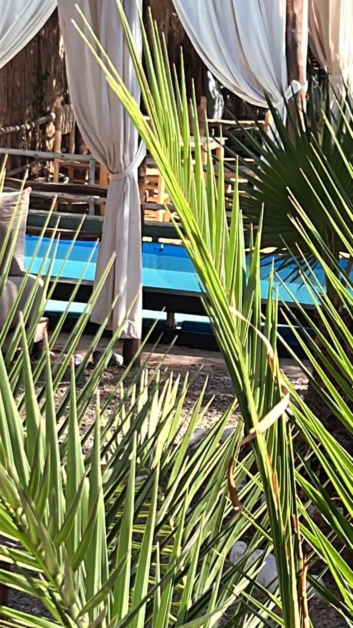 Dar Tadout Guest House Ait Ourir Bagian luar foto